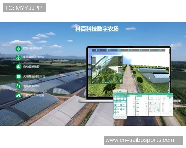 独家解析：杭州乒乓球队配合策略与技术对比分析